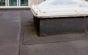 disadvantages of Passmores flat roofs